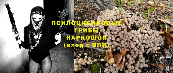 соль ск Алексеевка