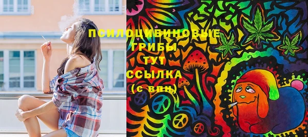 соль ск Алексеевка