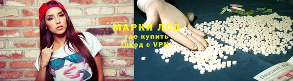 дмт Алзамай