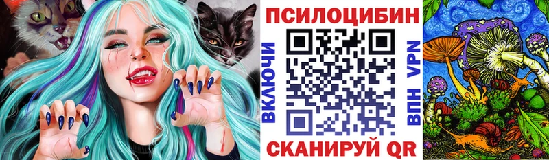 omg ТОР  даркнет Telegram  Галлюциногенные грибы Cubensis  Аткарск 